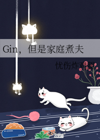 Gin,但是家庭煮夫