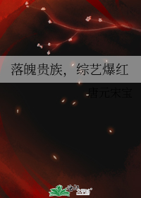 落魄贵族,综艺爆红