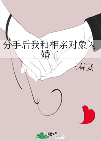 分手后我和相亲对象闪婚了