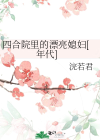 四合院里的漂亮媳妇[年代]