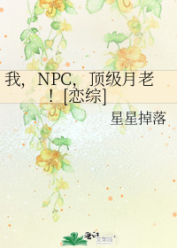 我,NPC,顶级月老！[恋综]