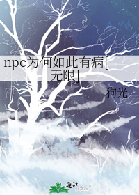 npc为何如此有病[无限]