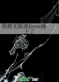 我被无限流boss缠上了