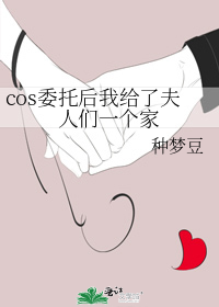 cos委托后我给了夫人们一个家