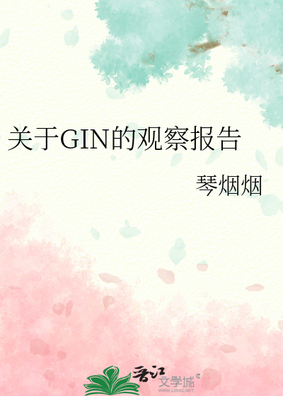 关于GIN的观察报告