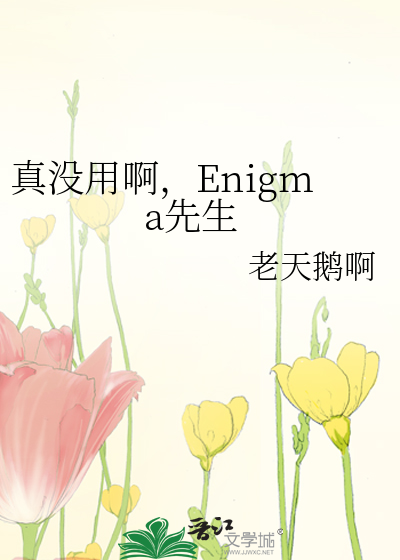 真没用啊,Enigma先生