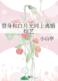 替身和白月光同上离婚综艺